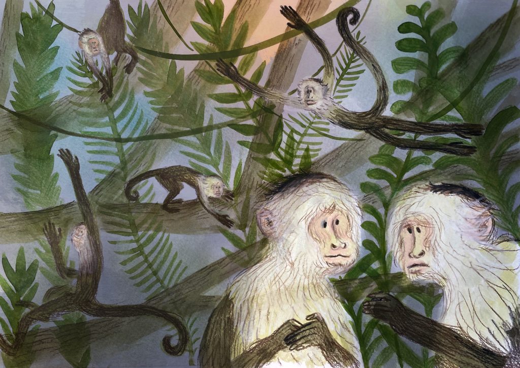 Illustrated Capuchin Monkeys discuss something they've found. Two are close up in foreground and then several others swinging about in the jungle background. Greens and soft purple colours make it atmospheric