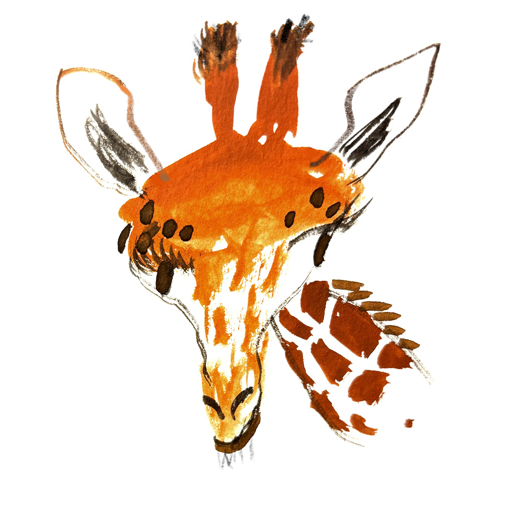 cecilysalt_carasel_08