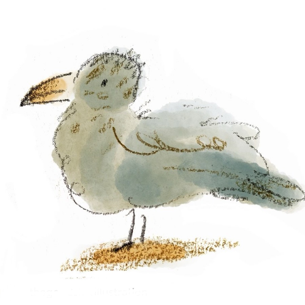 cecilysalt_carasel_22