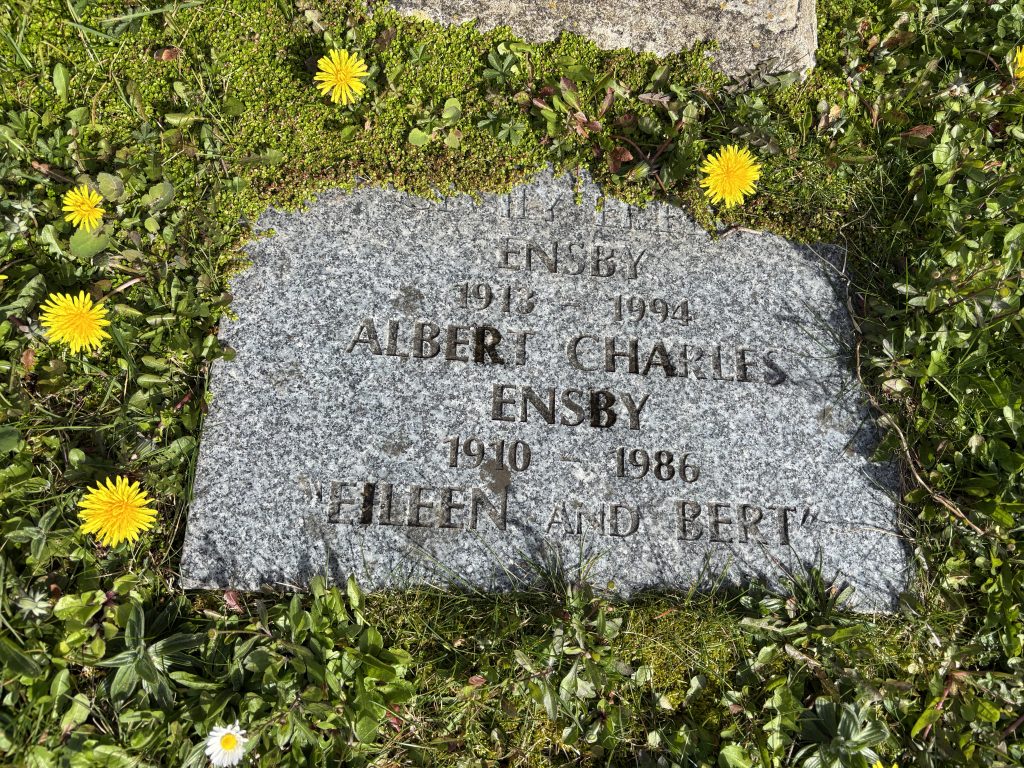 The grave stone of Cecily Eileen Ensby and Albert Charles Ensby in Paignton, Devon. Cecily is barely ledgible at the top - dandelions are around